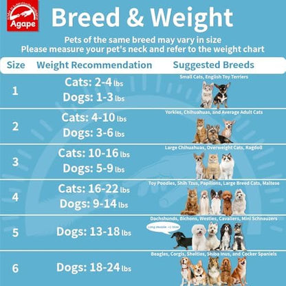 Agape Soft Dog Cone for Small Dogs & Cats, Recovery Collar to Stop Licking - Image 3