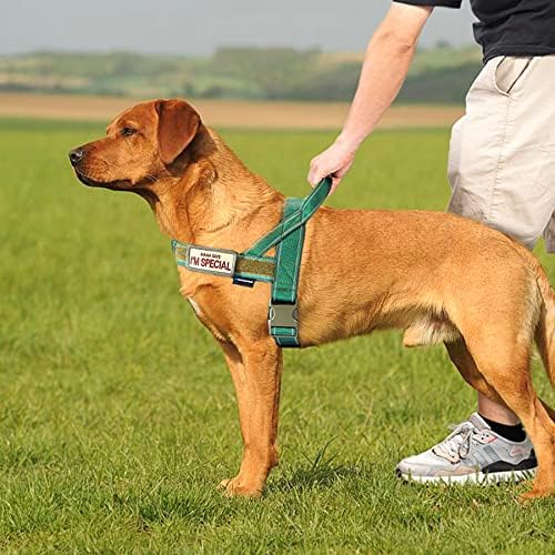 Annchwool No Pull Dog Harness with Soft Padded Handle,Reflective Strip Escape Proof and Quick Fit to Adjust Dog Harness,Easy for Training Walking for Small & Medium and Large Dogs(Green,S) - Image 5