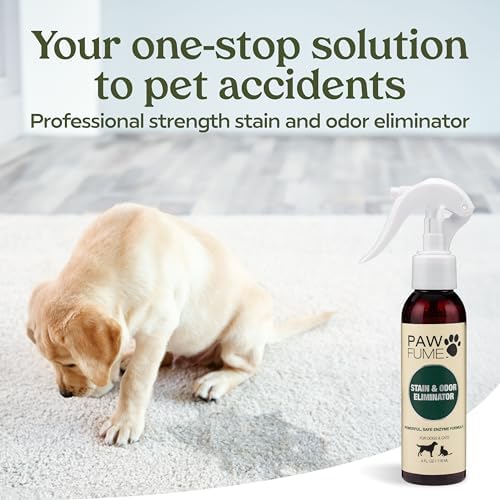 PAWFUME Stain & Pet Urine Odor Eliminator, 2-Pack - Image 2