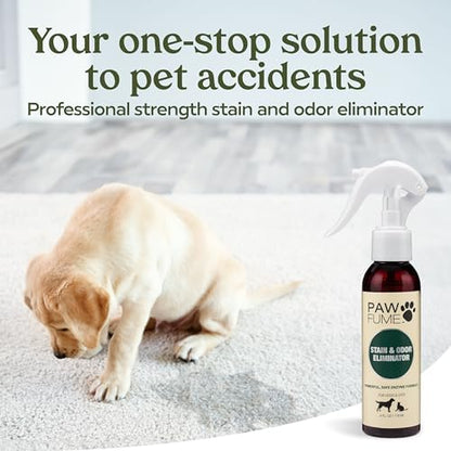 PAWFUME Stain & Pet Urine Odor Eliminator, 2-Pack - Image 2