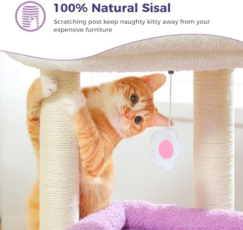 PEQULTI Small Cat Tree Tower for Indoor Cats, Sisal Post&Cozy Condo, Purple - Image 6