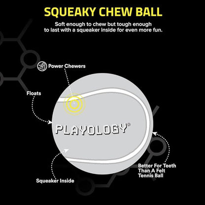Playology Dog Toys | Squeaky Chew Ball - Bouncy Durable Floating Fetch Ball for Dogs, Value 2-Pack | Medium Beef Scented Toy - Easy to Clean and Made from Non Toxic Materials