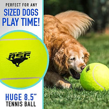 Franklin Sports Ready Set Fetch Oversized Dog Tennis Ball - 8.5" - Image 3