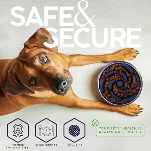 FAHRMOSIS 32 Oz Dog Bowl with Slow Feeder Insert Stainless Steel Pet Water Bowl for Medium & Large Breed Non Slip Rubber Base & Plastic Puzzle Feeder - Navy Blue - Image 4