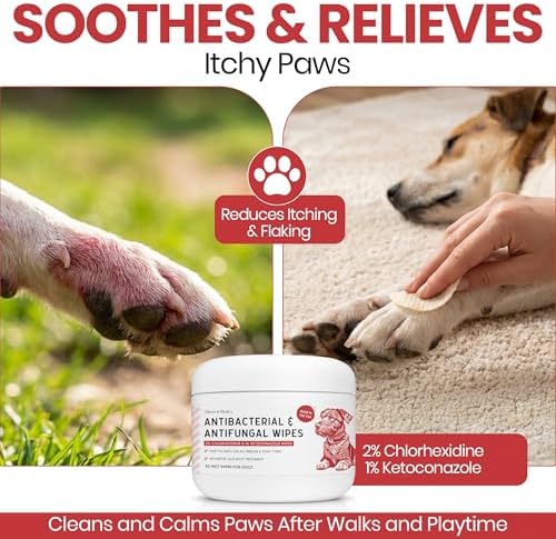 Dog Paw Wipes Antibacterial 50 Count - Antifungal Wipes for Dogs - Image 2