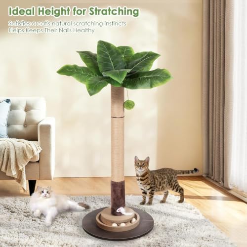40" Cat Scratching Post, Natural Sisal Rope Cat Scratcher Tree, Cat Scratcher Post with Hanging Ball, Heavy-Duty Wood Base with Mouse Hole & Ball Track for Kitten & Adult Cats - Image 5