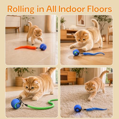 2026 Interactive Cat Toys with Bird Sounds & 3 Modes for Indoor Cats Play - Image 5
