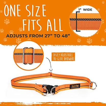 Mighty Paw Hands Free Dog Leash | Bungee Waist Leash for Dog Walking. Pet Running Hands Free Tether for Large, Medium & Small Breeds. Pet Waist Belt (36" - 48") Up to 150 lbs - Orange - Image 5