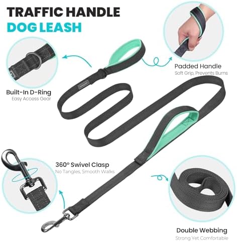 VIVAGLORY Double Handle Dog Leash Twingrip, 5ft x 1in, M, Grey - Image 3