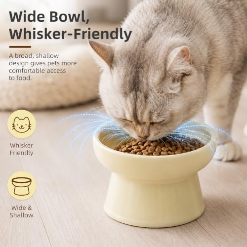 Casfuy Non-Skid Whisker-Friendly Elevated Ceramic Cat Food & Water Bowl - Image 2