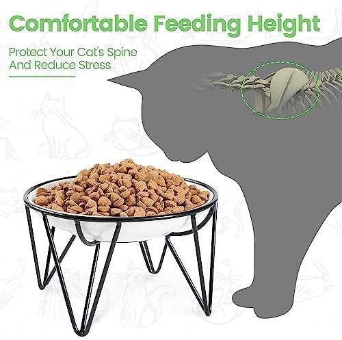 Ceramic Elevated Cat Bowls - Whisker Friendly, Anti-Vomiting Cat Food Plate, Stylish, Safe and Hygienic (Fishboon, 1 Pack) - Image 2