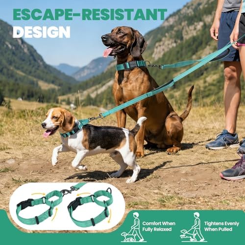 VIVAGLORY Double Handle Dog Leash Twingrip, 5ft x 1in, M, Turquoise - Image 2