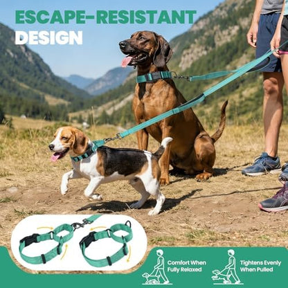 VIVAGLORY Double Handle Dog Leash Twingrip, 5ft x 1in, M, Turquoise - Image 2