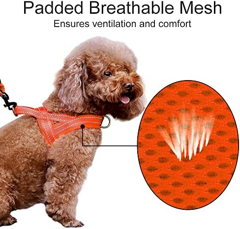 Plutus Pet No Pull Dog Harness for Puppy Small Dogs, Breathable Mesh Padded - Image 3