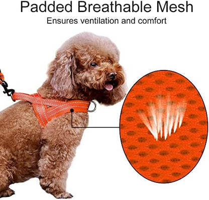 Plutus Pet No Pull Dog Harness for Puppy Small Dogs, Breathable Mesh Padded - Image 3