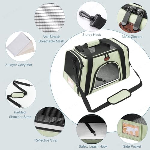 Cat Carrier Dog Carrier Pet Carriers for Medium Small Cats Dogs Puppies up to 15 Lbs,TSA Airline Approved Small Dog Cat Carriers Soft Sided,Collapsible Travel Puppy Carrier (Green, Large) - Image 2
