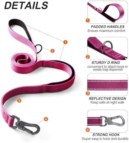 Twoear 4FT 1IN Heavy Duty Dog Leash for Large Dogs with 2 Padded Handles - Image 2