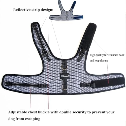 Mini Dachshund Harness – No Armpit Rub, Escape Proof, Reflective, No Pull Vest-Style Dachshunds Harness,Breathable Mesh Dog Harness (Silver-White, M: Chest 42-52cm (16.5"-20.5")) - Image 2