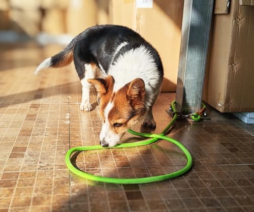 6 Foot Dog Tie Out Rope Leash, 1/2-In Indoor Training Tie Down - Image 5