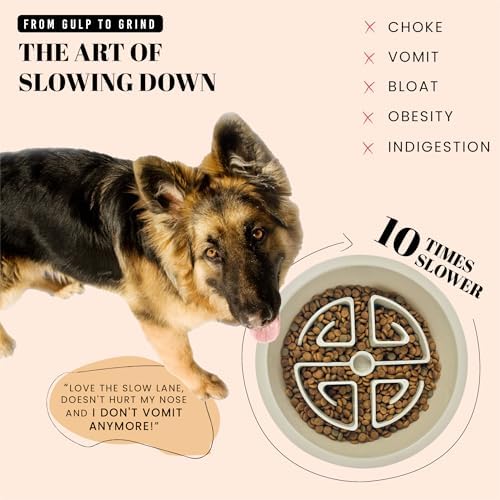 AVERYDAY Slow Feeder Dog Bowls for Large Breeds Fits Raised Feeding Station, Puzzle Dog Food Bowls to Slow Down Eating, Dogs Feeding Bowl with Non-Slip, Slows Feeder Pet Bowl for Wet and Dry Food - Image 2