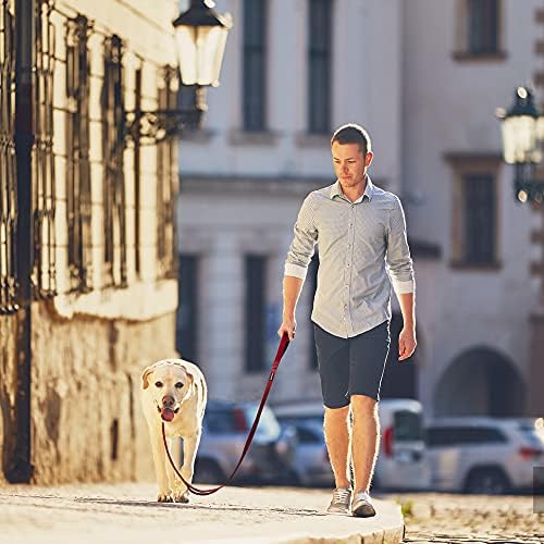 PetiFine 4FT Heavy Duty Dog Leash with Soft Padded Double Handle - Image 6