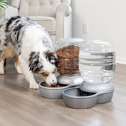 Petmate Replendish Automatic Cat and Dog Feeder, Pearl Peacock Blue, 10lb - Image 7