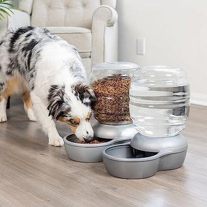 Petmate Replendish Automatic Cat and Dog Feeder, Pearl Peacock Blue, 10lb - Image 7