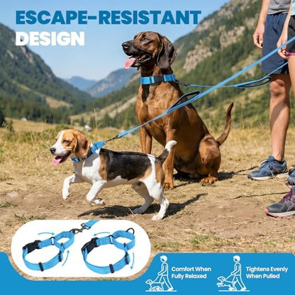 VIVAGLORY Double Handle Dog Leash Twingrip, 5ft x 1in, M, Blue - Image 2