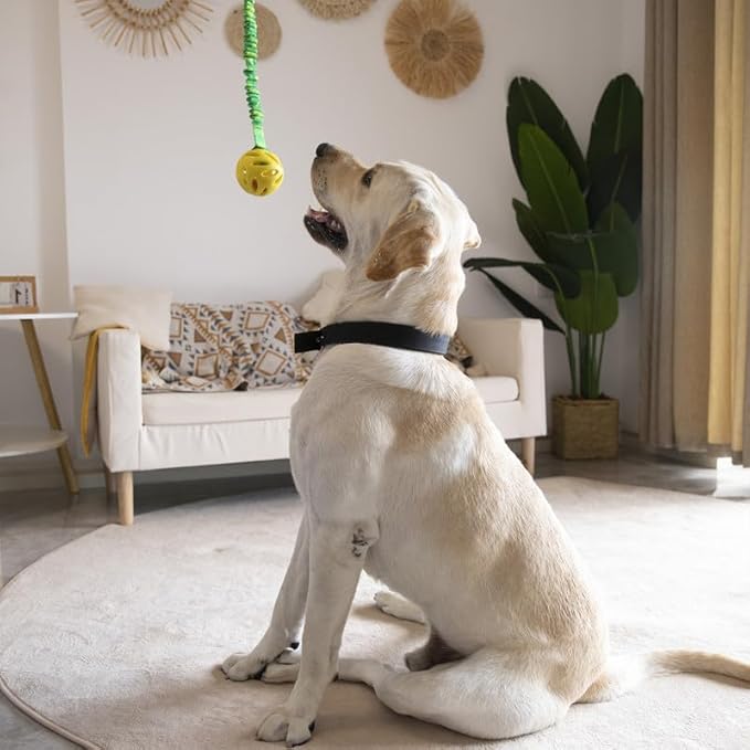 Dog Ball On a Rope Dog Toy, Dog Rope Toys with Handle for Tug, Tug Ball Toy for Small Medium Large Dogs Ideal for Interactive Dog Training and Dogs of All Ages | 45cm (18inches) in Size