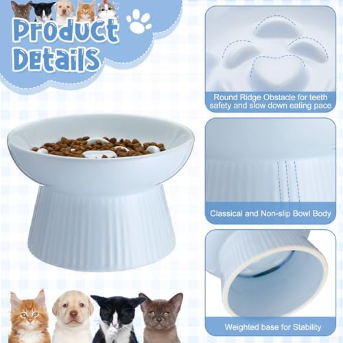Tioncy 2 Pcs Ceramic Elevated Slow Feeder Cat Bowl, Green, Blue - Image 3