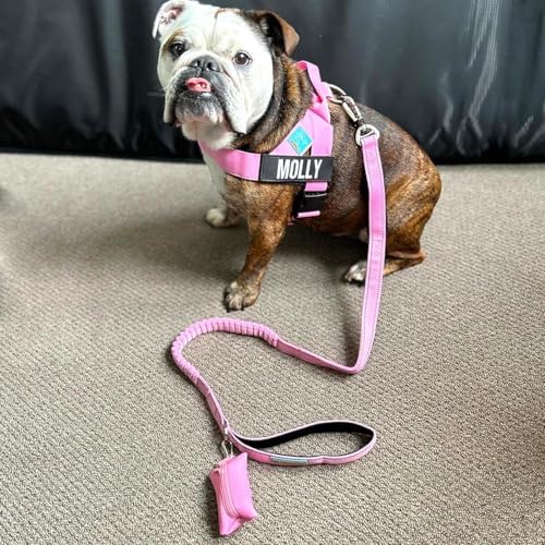 Dog Friendly Co. Poop Bag Holder for Leash, Dog Waste Bag, Premium Burgundy (Burgundy) - Image 5