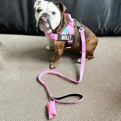 Dog Friendly Co. Poop Bag Holder for Leash, Dog Waste Bag, Premium Burgundy (Burgundy) - Image 5