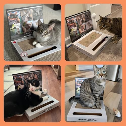 2PCS Cat Scratcher Laptop with 'Mouse' Jingle Ball, Stickers, 3-in-1 Cardboard Cat Interactive Toy, Kitten Toy & Cat Scratching Pad - Image 6