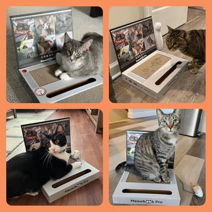 Cat Scratcher Laptop Cat Toy with 'Mouse' Jingle Ball, Stickers - Image 6