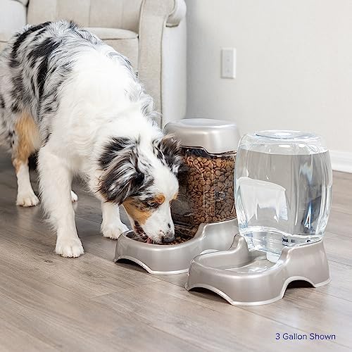 Petmate Pet Cafe Cat and Dog Water Dispenser, 1.5 Gallon, Blue - Image 7