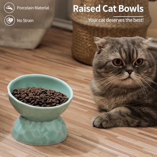 Ceramic Tilted Raised Cat Bowls, Elevated Cat Food and Water Bowl Set - Image 2