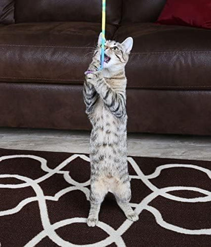 CAT DANCER-Cat Charmer Wand,Teaser-Cat & Kitten Toy! Color:Rainbow Size:Pack of 3