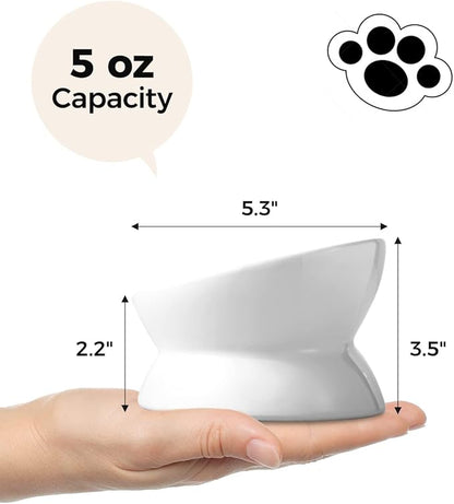 LoeJan Elevated Cat Food Bowl, 5 Oz Ceramic Raised and Tilted Water Bowl, Anti Vomiting and Protect Pets' Spines Dishes for Small Dog, Fat Faced Cat, Kitten (White, 1 Pack)
