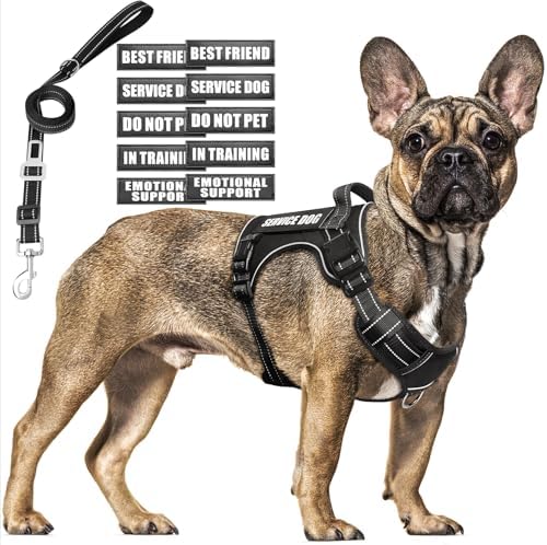 Tactical Dog Harness and Leash Set Medium Sized Dog+10 Dog Patches by MOOGROUPETSFRIEND