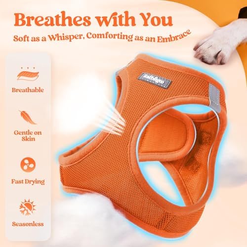 rabbitgoo Dog Harness Small Sized and Leash Set, Step-in Puppy Pet Vest - Image 4