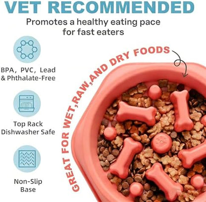 Slow Feeder Dog Bowls Anti Gulping Reduces Gastric Burden Prevents Bloat and Digestive Issues Safe Durable Material Easy to Clean Puppy Slow Feeder Bowl for Healthy Eating Excess Energy Management - Image 3