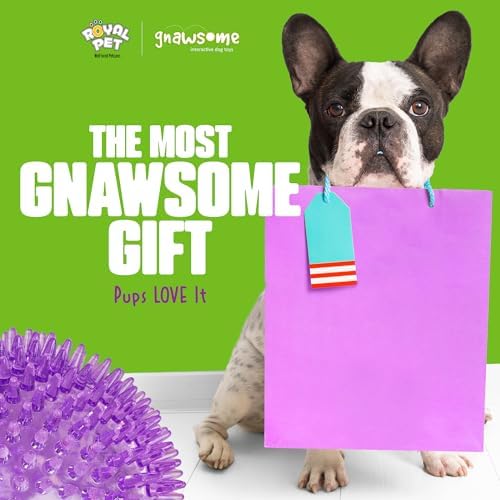 Gnawsome™ 4.5” Spiky Squeaker Ball Dog Toy - Extra Large, Cleans Teeth and Promotes Good Dental and Gum Health for Your Pet, Colors will vary, 4.5" - Image 5