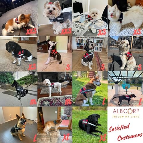 ALBCORP Service Dog Vest Harness – Reflective Service Animal Vest, No-Pull Harness with Handle & Mesh Padding – Sizes XXS-XL for Puppies – 2 Removable Service Patches Included (Extra Large, Red Camo) - Image 6