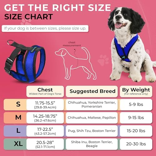 Gooby Comfort X Head-in Dog Harness, Choke-Free, Blue, Large - Image 5