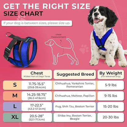 Gooby Comfort X Head-in Dog Harness, Choke-Free, Blue, Large - Image 5