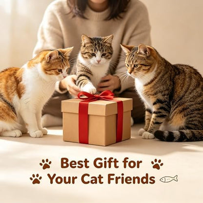2BB Cat Kicker Toys 3 Pack, 13 Inch Quiet Catnip Toy Pillows for Indoor Cats, Soft Plush Refillable Kick Sticks for Kittens, Interactive Play & Exercise - Image 6