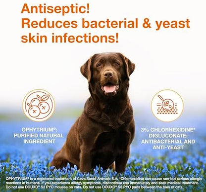 Douxo S3 PYO Medicated Dog Shampoo with 3% Chlorhexidine for Dogs – Antibacterial & Antiseptic Yeast Infection Treatment For Dogs & Cats, Clinically Proven, 6.7 fl oz - Image 2