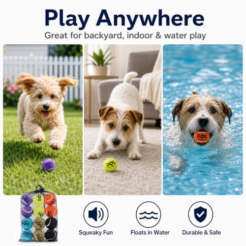 INSUM Tennis Balls for Dogs, 12 Pack Colorful Dog Toys Balls - Image 4