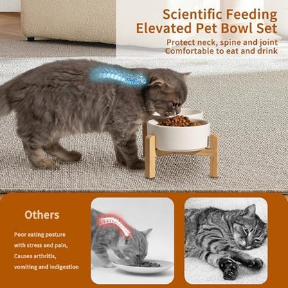 Elevated Ceramic Dog Bowl, 2 Cups Dog Food and Water Bowl Set with Stand - Image 4