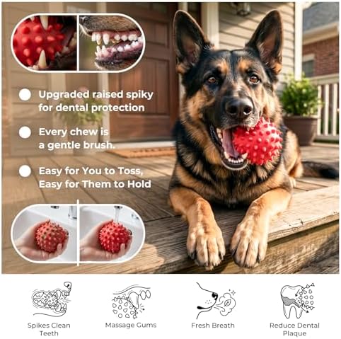 Beef-Flavored 3.5'' Tough Squeaky Ball for Dogs, 25-80lbs Pack of 2 - Image 5